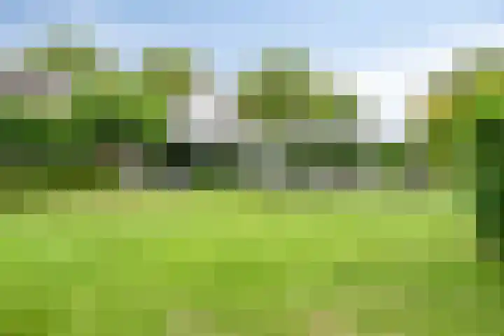 Graafsebaan 12 Rosmalen thumbnail 47