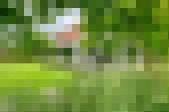 Graafsebaan 12 Rosmalen thumbnail 48