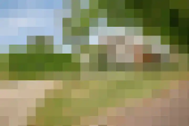 Graafsebaan 12 Rosmalen thumbnail 5