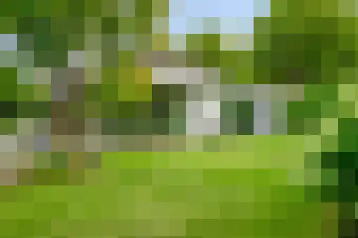 Graafsebaan 12 Rosmalen thumbnail 50