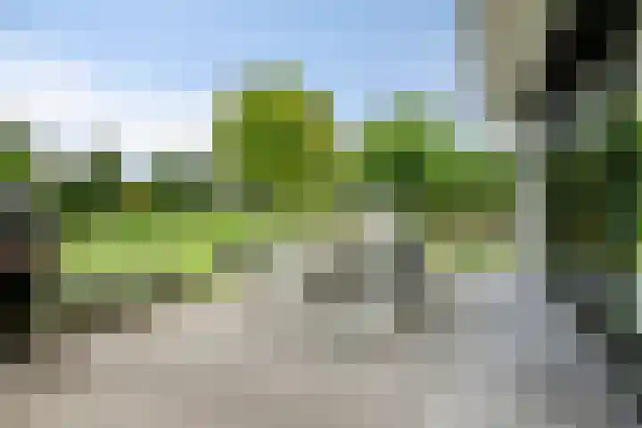 Graafsebaan 12 Rosmalen thumbnail 52
