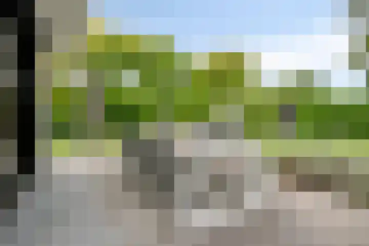 Graafsebaan 12 Rosmalen thumbnail 53
