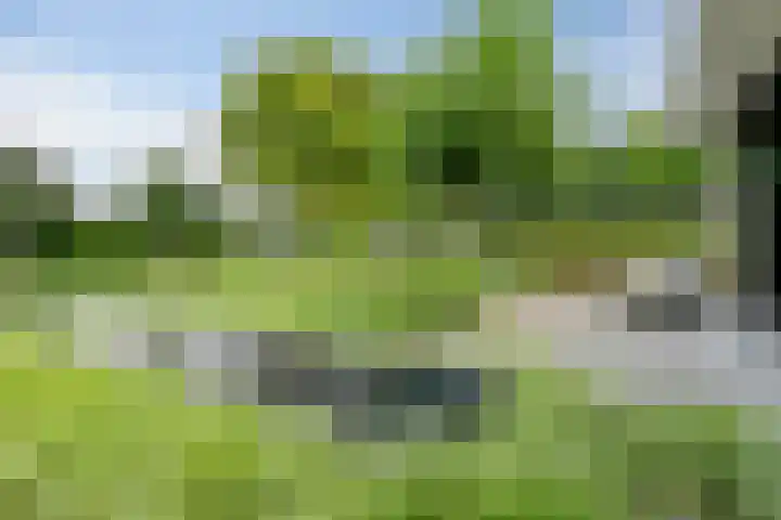 Graafsebaan 12 Rosmalen thumbnail 54
