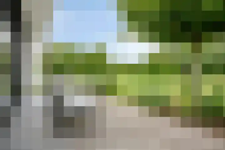 Graafsebaan 12 Rosmalen thumbnail 55