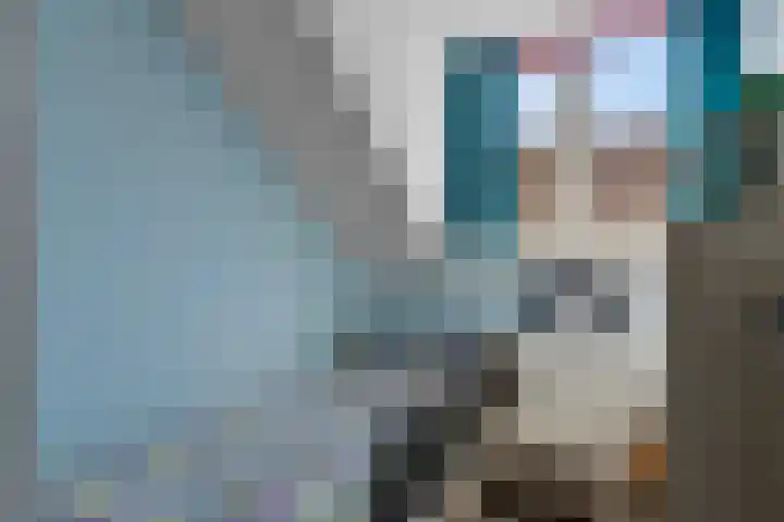 Graafsebaan 12 Rosmalen thumbnail 56