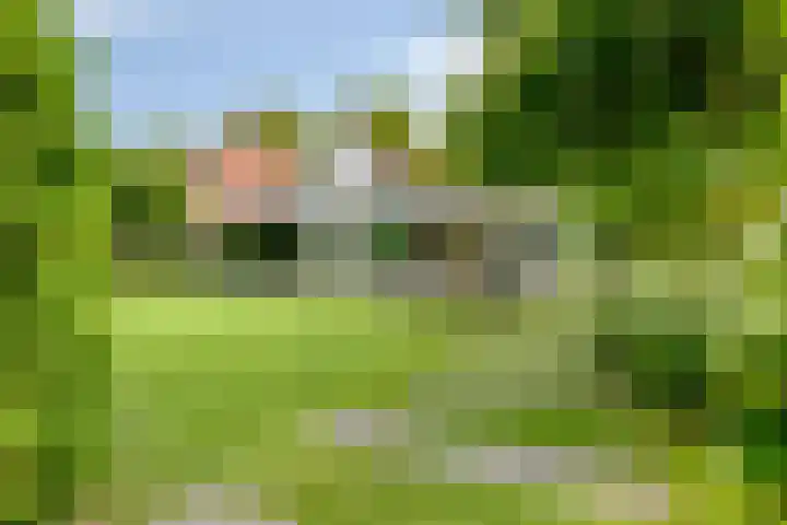 Graafsebaan 12 Rosmalen thumbnail 57