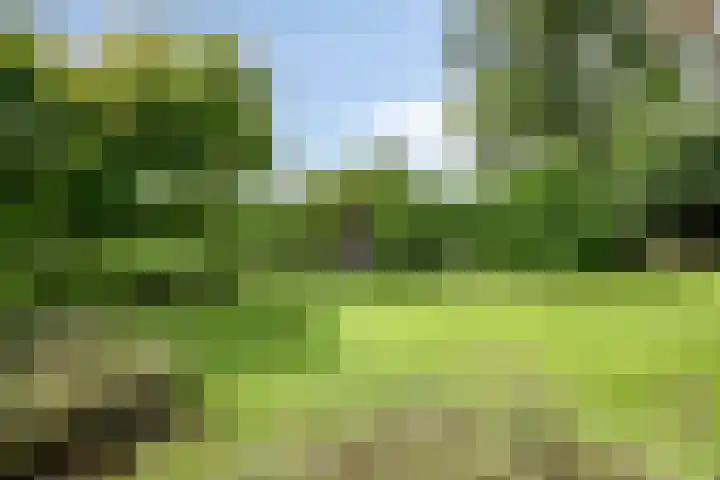 Graafsebaan 12 Rosmalen thumbnail 58