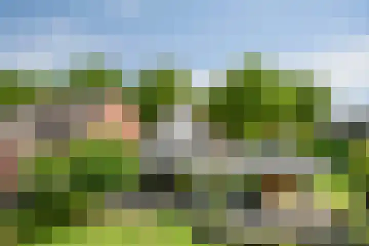 Graafsebaan 12 Rosmalen thumbnail 64