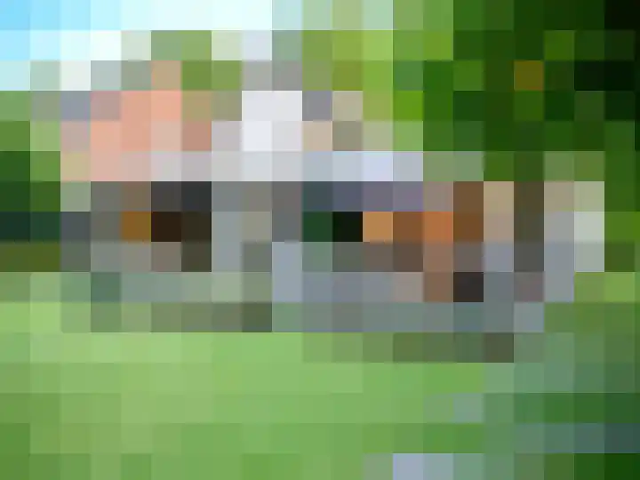 Graafsebaan 12 Rosmalen thumbnail 67