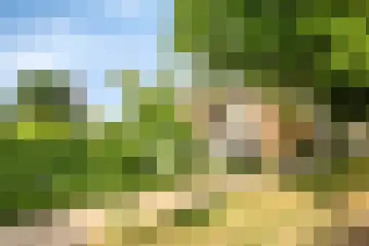 Graafsebaan 12 Rosmalen thumbnail 70