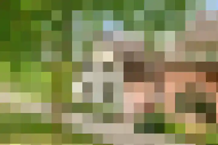 Graafsebaan 12 Rosmalen thumbnail 72