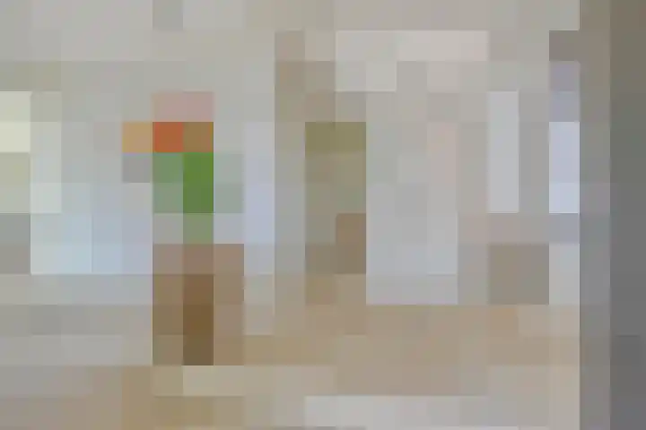 Graafsebaan 12 Rosmalen thumbnail 9