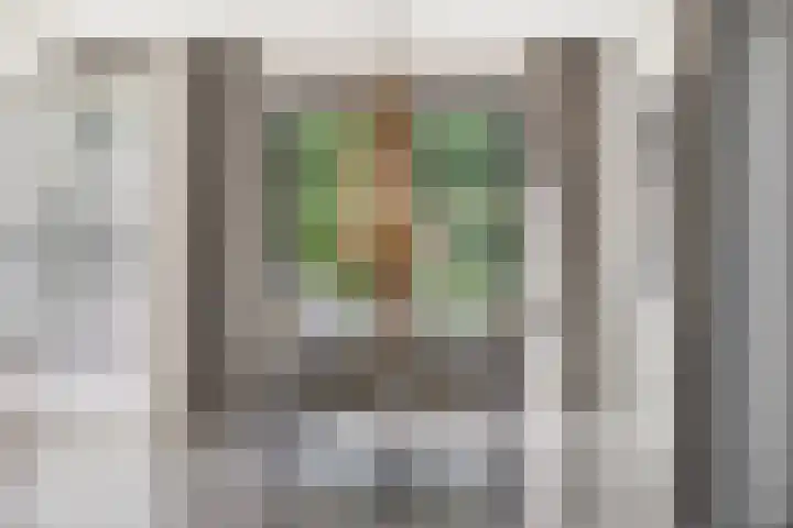Graafsebaan 41 Heesch thumbnail 15