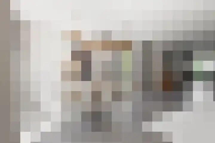 Graafsebaan 41 Heesch thumbnail 17