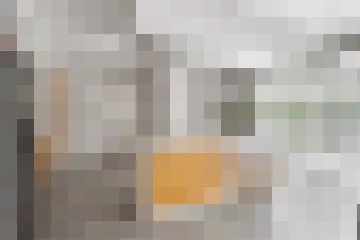 Graafsebaan 41 Heesch thumbnail 20