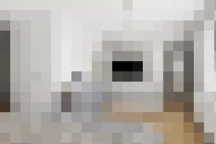 Graafsebaan 41 Heesch thumbnail 33