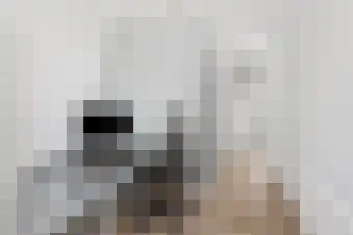 Graafsebaan 41 Heesch thumbnail 38