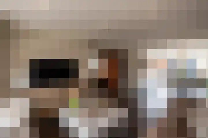 Graafsebaan 41 Heesch thumbnail 39