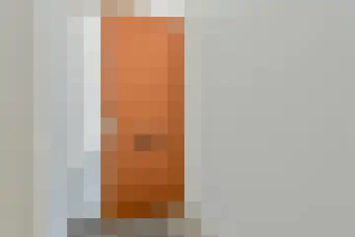 Graafsebaan 41 Heesch thumbnail 4