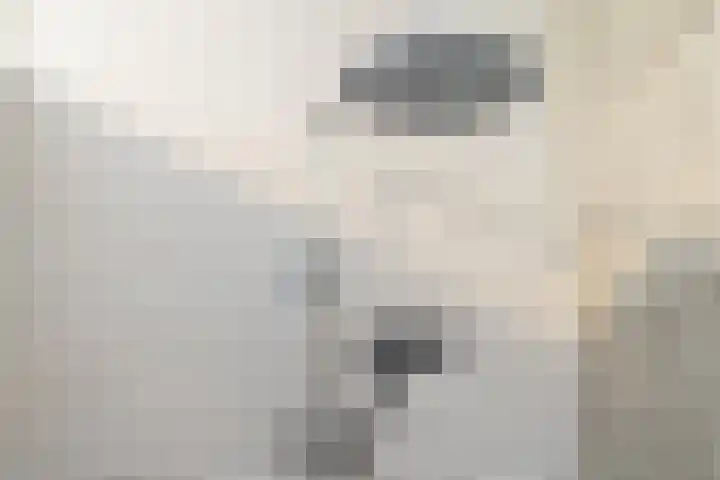 Graafsebaan 41 Heesch thumbnail 41