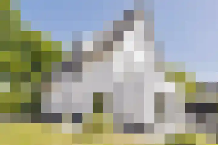 Graafsebaan 41 Heesch thumbnail 49