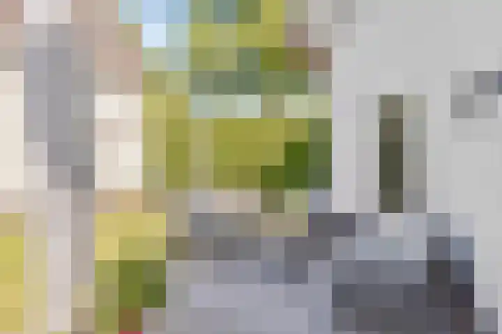 Graafsebaan 41 Heesch thumbnail 51