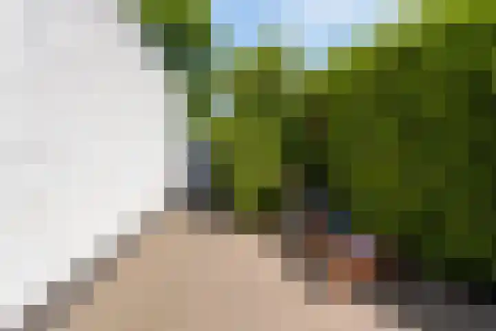 Graafsebaan 41 Heesch thumbnail 53