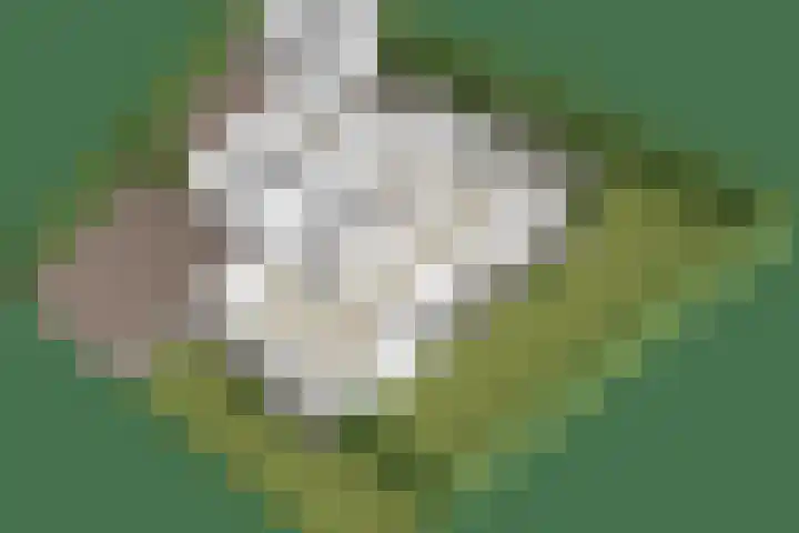 Graafsebaan 41 Heesch thumbnail 62
