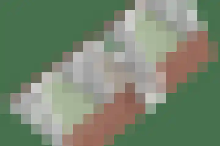 Graafsebaan 41 Heesch thumbnail 68