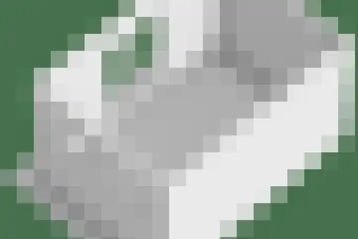 Graafsebaan 41 Heesch thumbnail 70