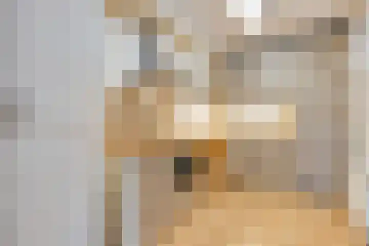 Graafsebaan 41 Heesch thumbnail 72