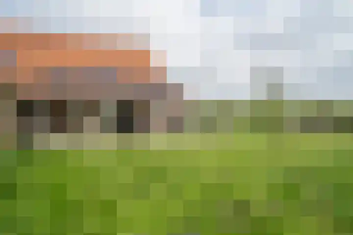 Graafsebaan 6 Zeeland thumbnail 10