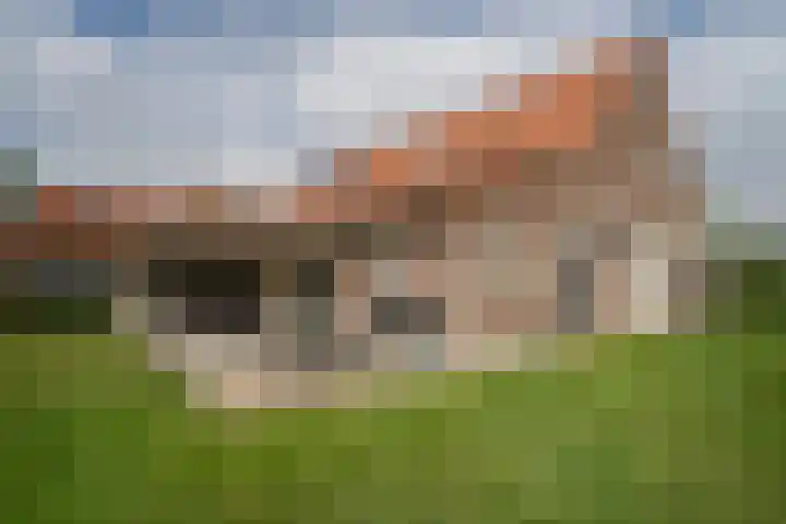 Graafsebaan 6 Zeeland thumbnail 11