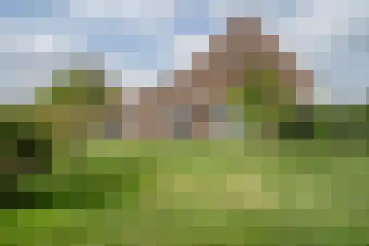 Graafsebaan 6 Zeeland thumbnail 12