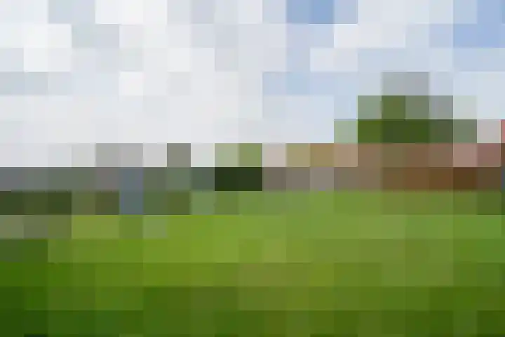Graafsebaan 6 Zeeland thumbnail 13