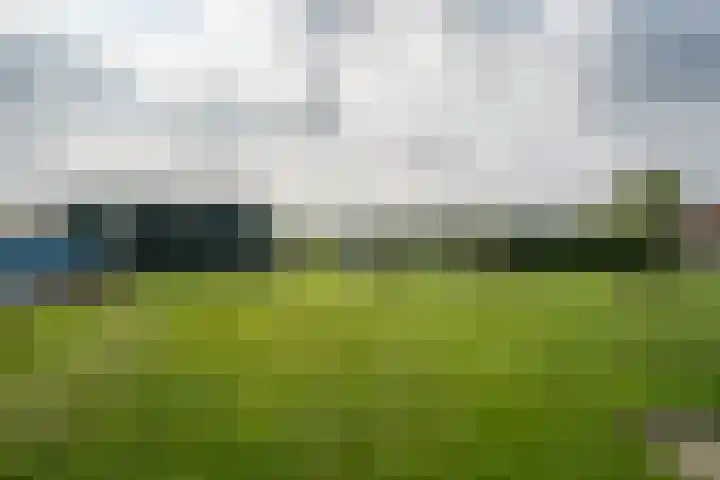Graafsebaan 6 Zeeland thumbnail 14