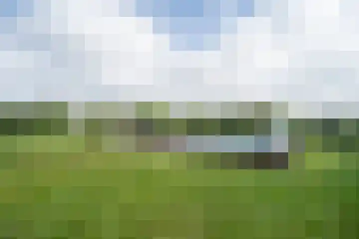 Graafsebaan 6 Zeeland thumbnail 15