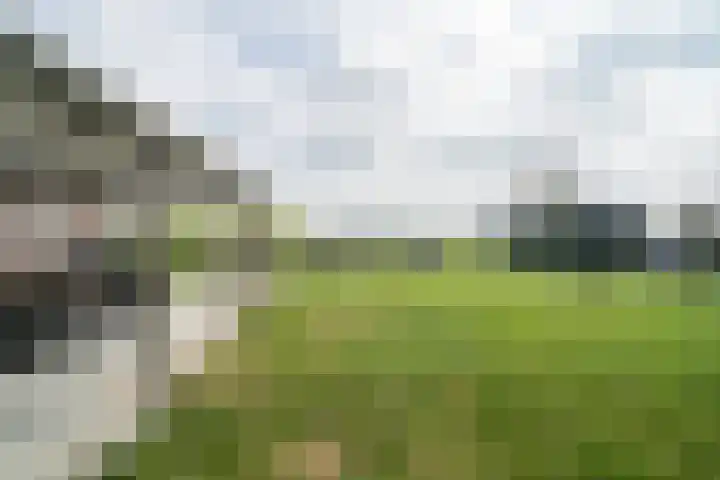 Graafsebaan 6 Zeeland thumbnail 16