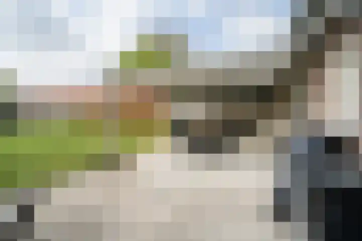 Graafsebaan 6 Zeeland thumbnail 17