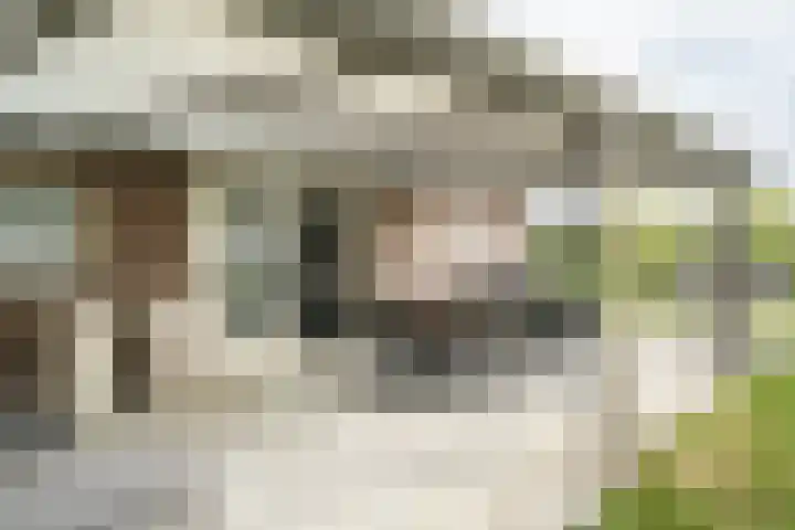 Graafsebaan 6 Zeeland thumbnail 18