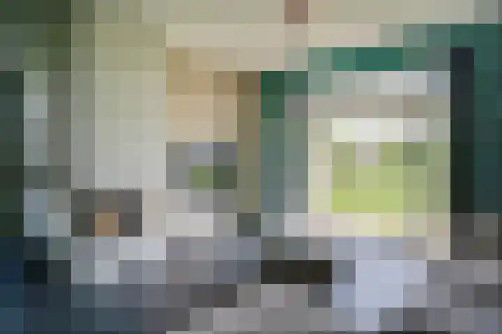 Graafsebaan 6 Zeeland thumbnail 26