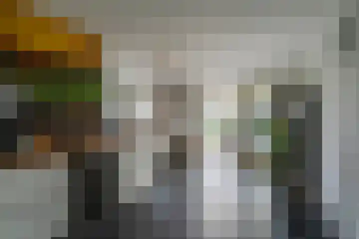 Graafsebaan 6 Zeeland thumbnail 28