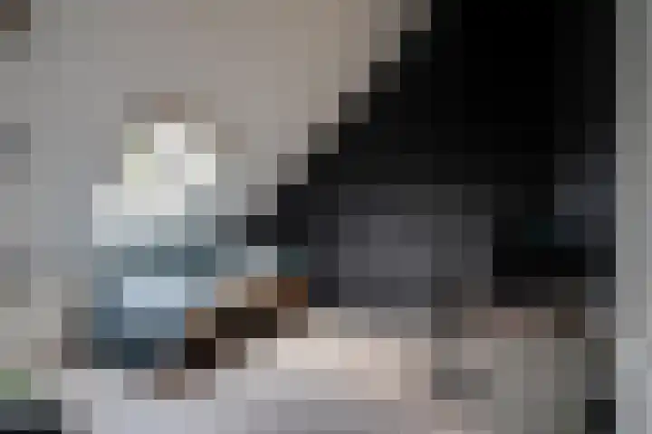 Graafsebaan 6 Zeeland thumbnail 39