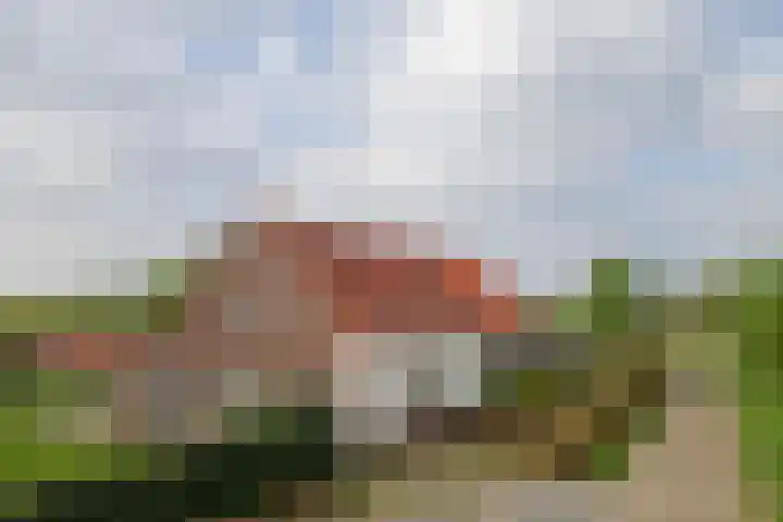Graafsebaan 6 Zeeland thumbnail 4