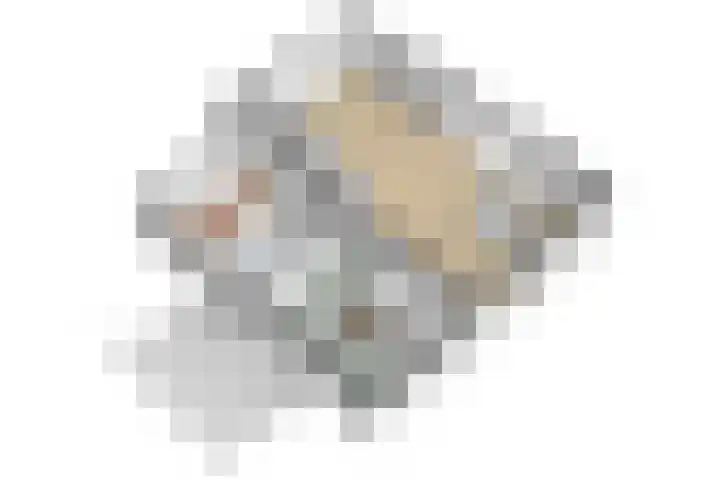 Graafsebaan 6 Zeeland thumbnail 42