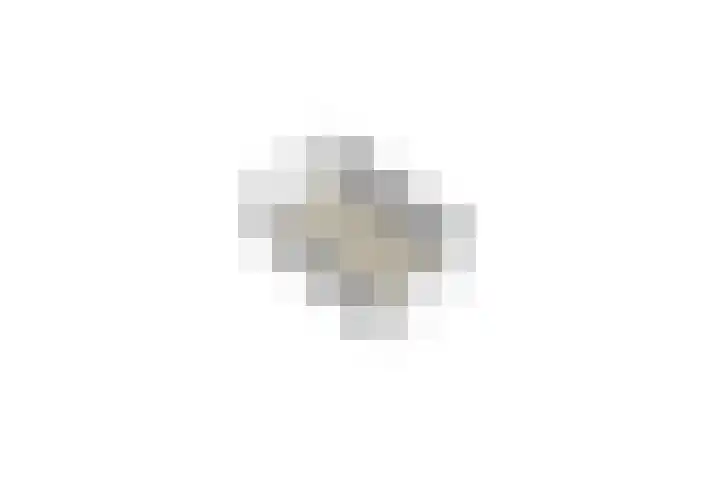 Graafsebaan 6 Zeeland thumbnail 50