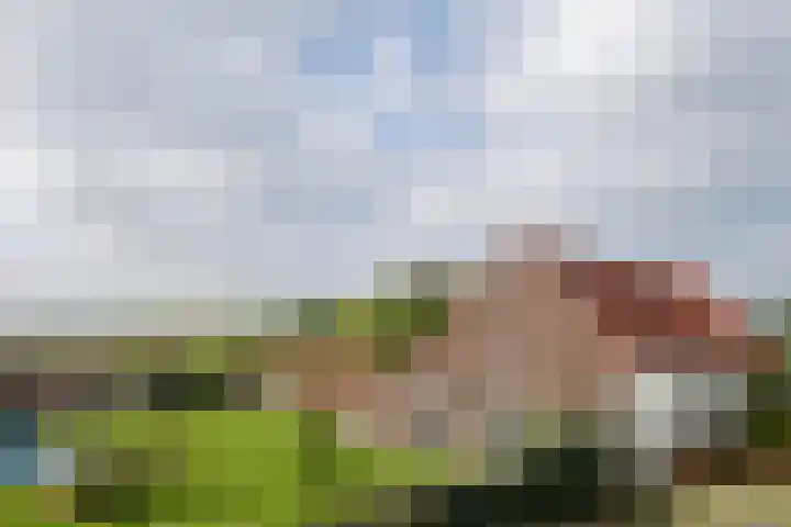 Graafsebaan 6 Zeeland thumbnail 51