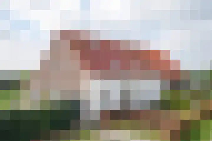Graafsebaan 6 Zeeland thumbnail 7