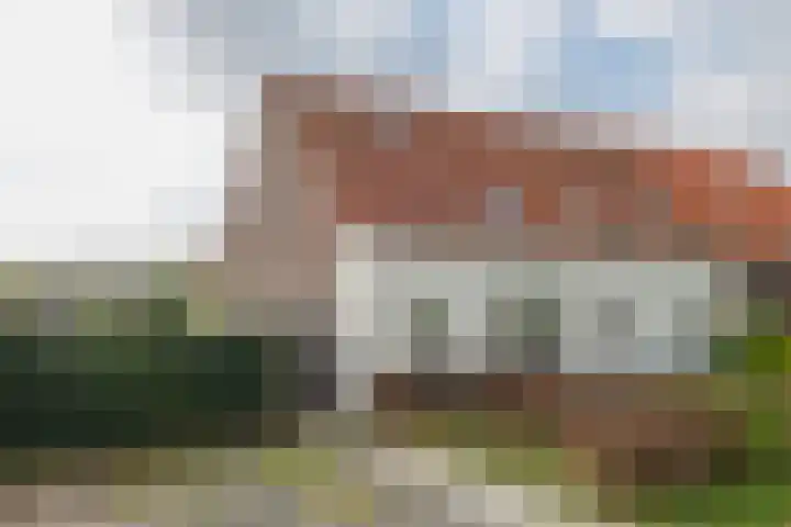 Graafsebaan 6 Zeeland thumbnail 8
