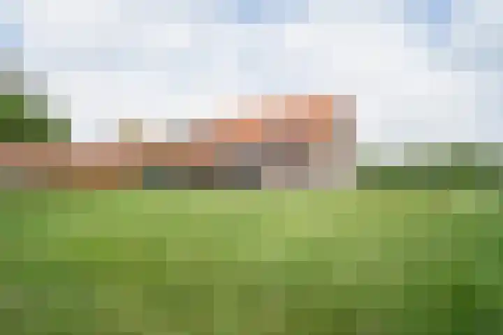 Graafsebaan 6 Zeeland thumbnail 9